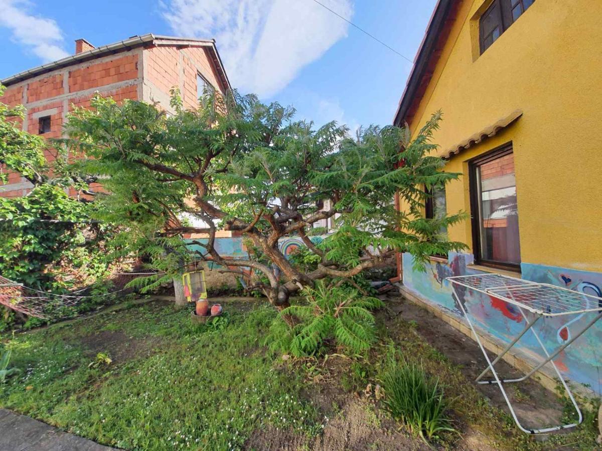 Apartmán Garickina Kuca Pirot Exteriér fotografie