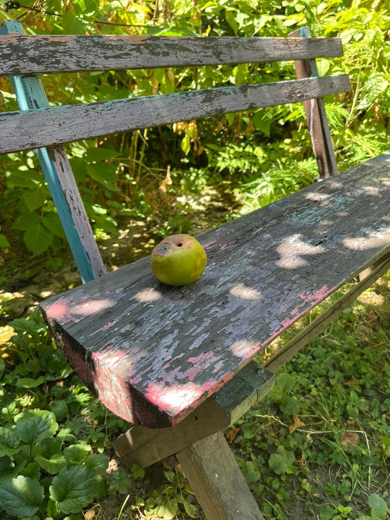 Apartmán Garickina Kuca Pirot Exteriér fotografie