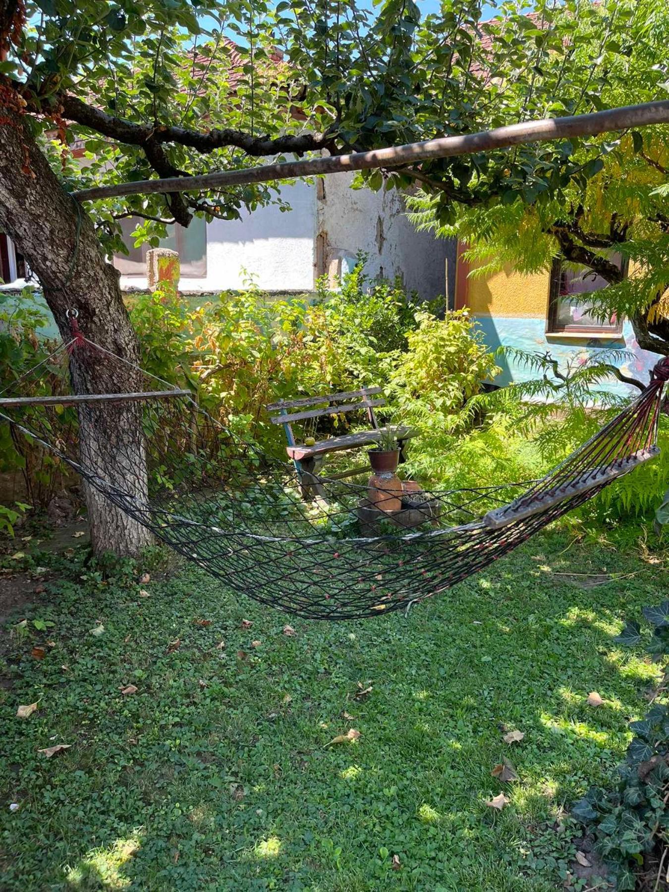 Apartmán Garickina Kuca Pirot Exteriér fotografie